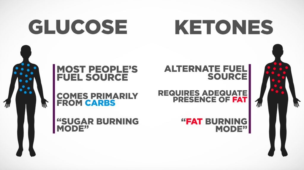 What is Ketosis?