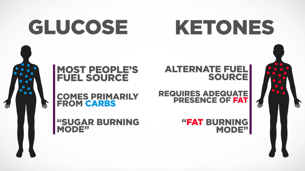 What Is Ketosis Biglee